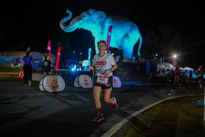 BIB: 
                            <button type="button" onclick="openModal(26552015)" class="btn btn-primary btn-sm float-right btn-popup" data-toggle="modal" data-target=".modal-high-quality">
                        <i class="fas fa-shopping-cart"></i> Add to Cart
                    </button>
                                            <button type="button" onclick="isThisMe(26552015, true)" class="btn btn-success btn-sm float-right btn-popup btn-isme hidden" data-toggle="tooltip" data-placement="bottom" title="นี่คือรูปของคุณใช่ไหม คลิกที่นี่เพื่อเอาเข้าอัลบั้ม">
                        <i class="fas fa-plus"></i> Add to album
                    </button>
                    <button type="button" onclick="isThisMe(26552015, false)" class="btn btn-warning btn-sm float-right btn-popup btn-isnotme hidden">
                        <i class="fas fa-ban"></i> Remove from album
                    </button>